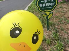 -太子山公园(园东路)