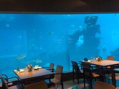 大堂-海棠湾洲际-涛·海底餐厅·美人鱼·自助餐·海底隧道