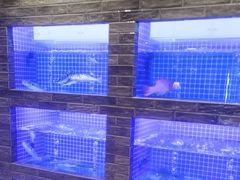 -聚宝渔港.五钻酒家(上地店)