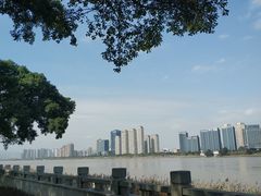 -江心屿景区