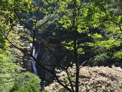 -溪口-滕头旅游景区