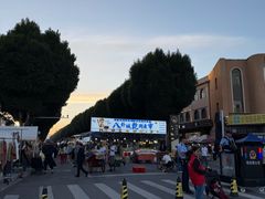 -特克斯八卦城