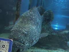 -太平洋海底世界