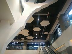 -中国宋庆龄青少年科技文化交流中心