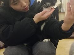 -萌喵宠狗爱心宠咖