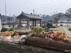 -马村鱼头