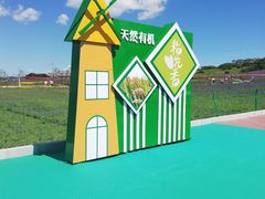 -莲花山花海