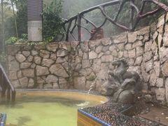 -明月山天沐温泉度假村