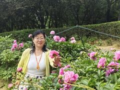 -洛阳市隋唐城遗址植物园