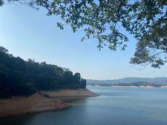 -广州市流溪河国家森林公园