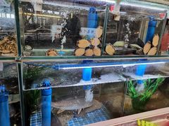 水产区-富临港·蒸汽海鲜·手抓海鲜·炒菜(栈桥店)