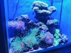 -多彩贵州城极地海洋世界