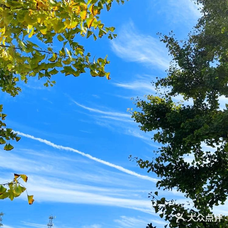 汉阳陵一日游|汉服写真|博物馆宝藏行