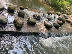-合肥滨湖国家森林公园