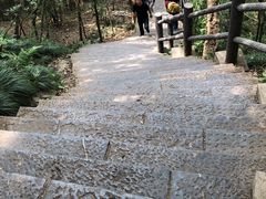 -紫金山索道-售票处