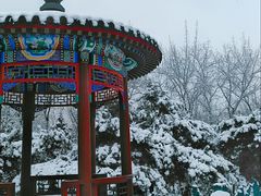-宣武艺园