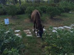 -上海滴水湖皇冠假日酒店