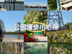 -长白岛森林公园