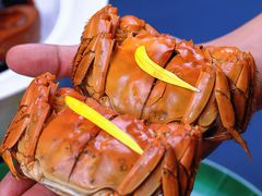 -老吉堂上海本帮菜(工体店)