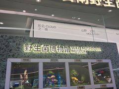 -芸山季·云南山珍菌火锅(南翔印象城MEGA店)