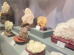 -湖南省地质博物馆