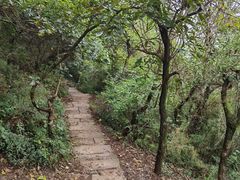 -杭州半山国家森林公园