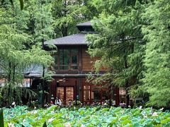 -广州珠江公园