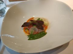 -蝶舍·MAISON PAPILLON