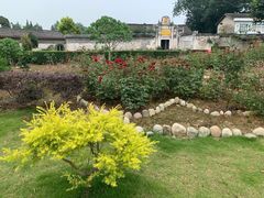 -金谷域澳洲庄园