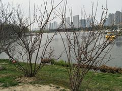 -滨湖塘西河公园