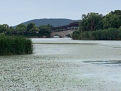 -长广溪湿地公园
