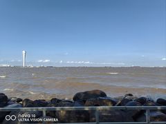 -上海吴淞炮台湾国家湿地公园