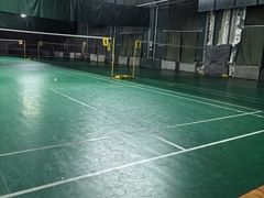 -东丽温泉羽毛球