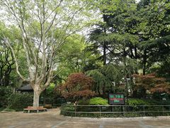 -华山儿童公园