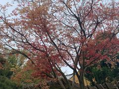 -龙华寺
