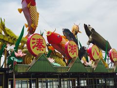 -溱湖国家湿地公园