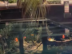 -半山半岛洲际度假酒店·观海廊