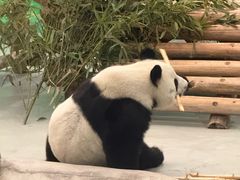 -柳州市动物园