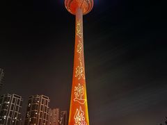 -辽宁电视塔