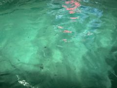 -汤泉良子.足疗按摩.SPA(中关村店)