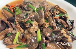 Wild Mud Mushroom
