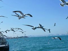 -大连海昌东方水城