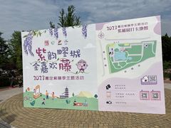 -嘉定紫藤园