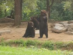 -北京野生动物园