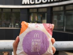 -麦当劳(朝阳北路店)