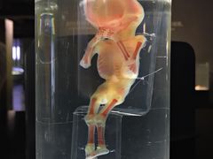 -生命奥秘博物馆