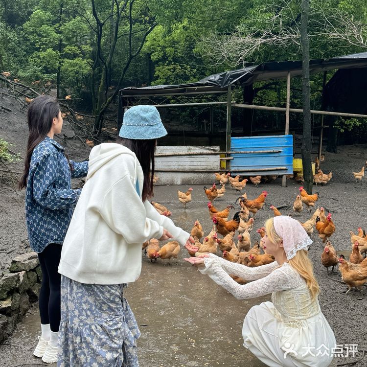 为了这一口鸡汤我愿意再来N次！！
