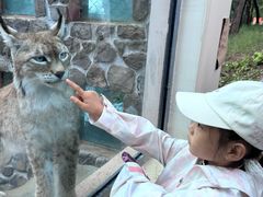 -青藏高原野生动物园