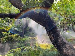 -Chom Cafe and Restaurant