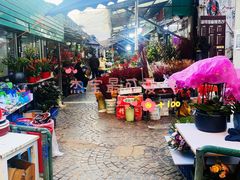 -曲阳花鸟市场(曲阳路店)